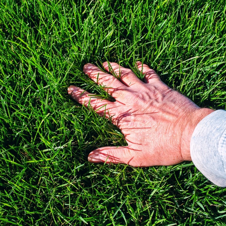 Nawoz-do-trawy-mineralny-Emeralld-Minerals-Complex-No16-NPK-16-16-16-20-kg-Producent-inny